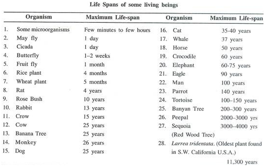 life-span-sureden-your-education-partner